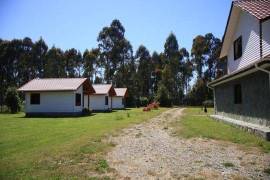 Property in the enchanting region of Los Ríos, Chile