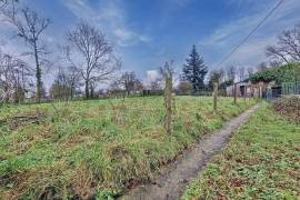 Detached Country House with Open Views