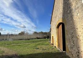 - Property - Aquitaine - For Sale - 11579-MO